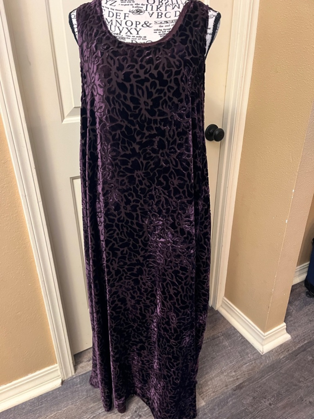 Vintage Velvet Burnout Sleeveless Maxi Dress - Deep Plum